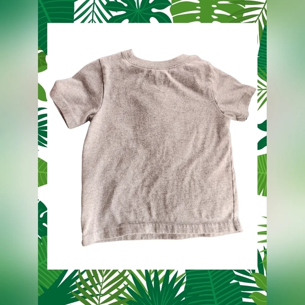 Gray and Green Dinosaur Graphic Short Sleeve Tee